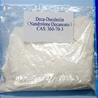 99% Anaboliczne sterydy w proszku Nandrolon Decanoate Deca Durabolin Surowy proszek 360-70-3