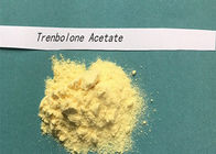 Proszek Trenbolon Octan Finaplix H Revalor H Sterydy ananboliczne Hormon CAS 10161-34-9